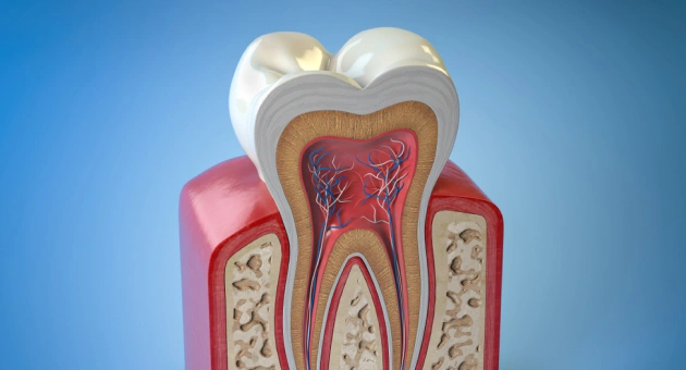Root Canal Treatment Eldersburg